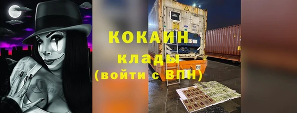экстази Бикин