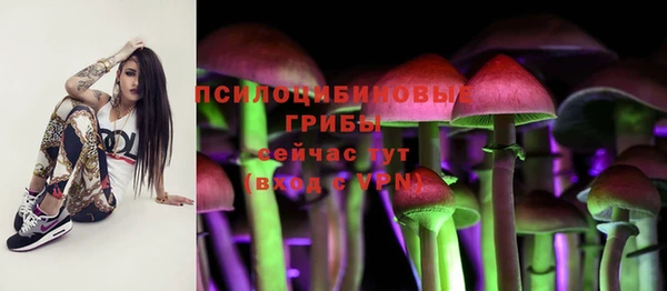 apvp Переславль-Залесский