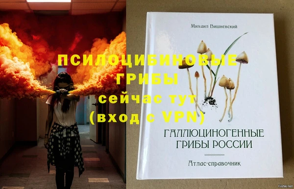 СК Пестово