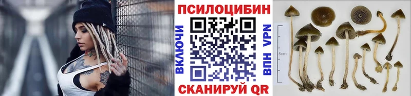 Галлюциногенные грибы мухоморы Муравленко